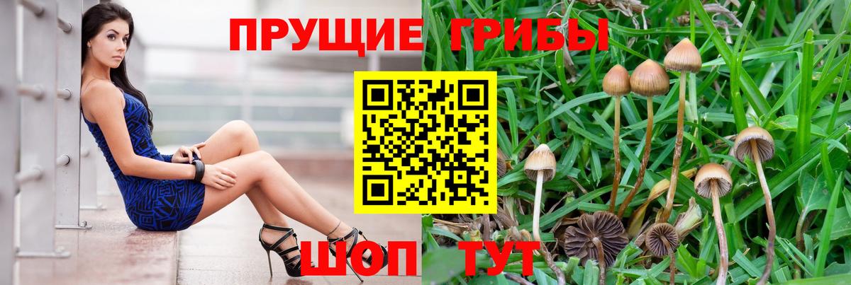 Псилоцибиновые грибы GOLDEN TEACHER Семёнов